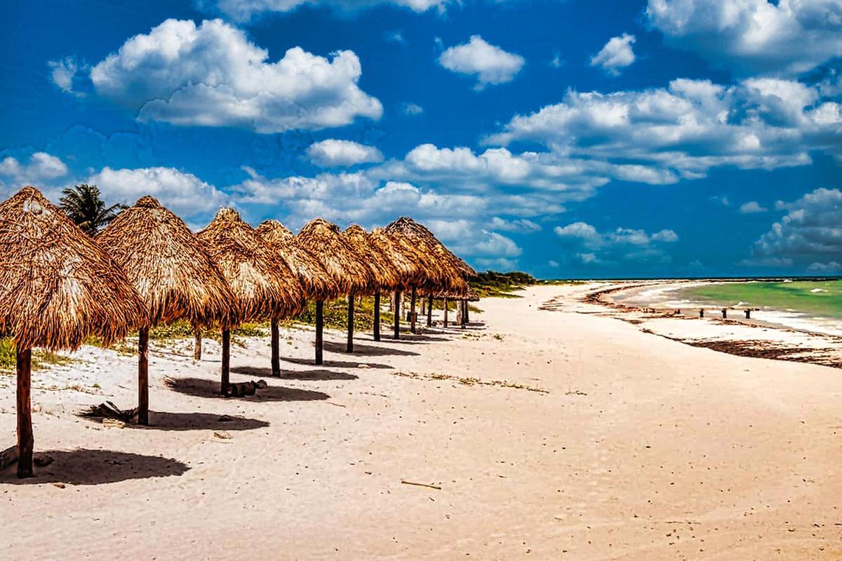 Hacienda Antigua Villa, 50M From Sandy Beach 엘 쿠요 외부 사진